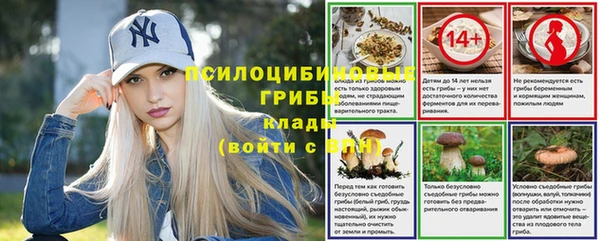 прущая мука Богородицк